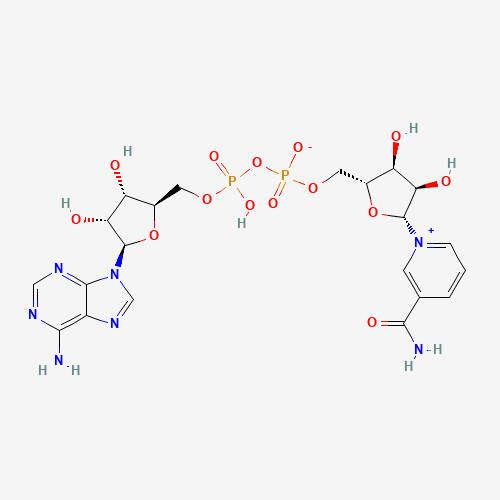 2D chemical structure of NAD+