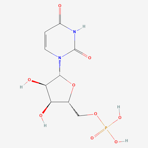 2D chemical structure of Uridine Monophosphate